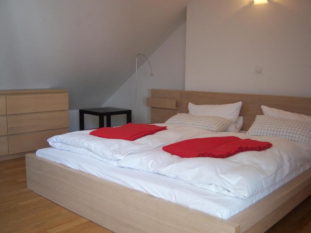 Historisches Buergerhaus Dresden -Kulturstiftung- Apartment Cameră foto
